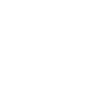 icon white finance